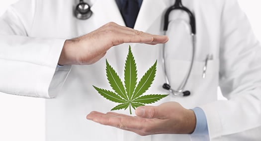 CannabisCare CopyPortfolio eToro