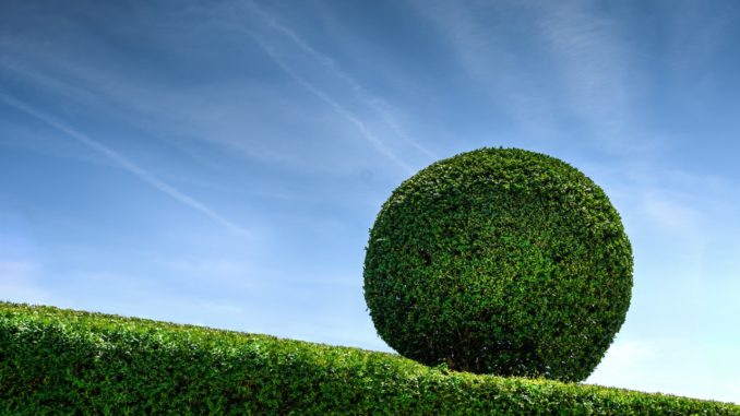 The pros and cons of using spread betting as a hedging tool