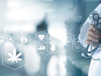 how to buy cannabis stocks