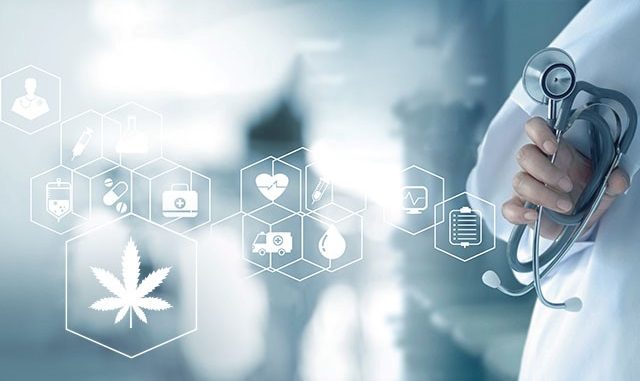 eToro’s latest CopyPortfolio, CannabisCare how to buy cannabis stocks