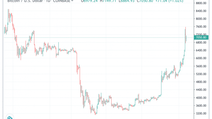 btc_13may