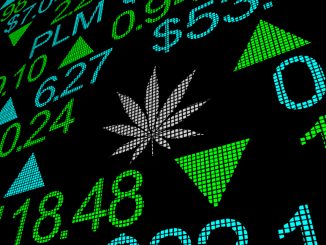 Weed stocks