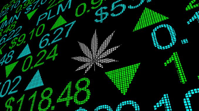 Weed stocks Weed stocks