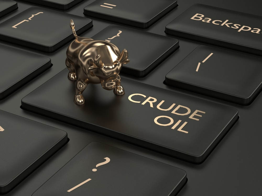 Top 10 Oil Etfs