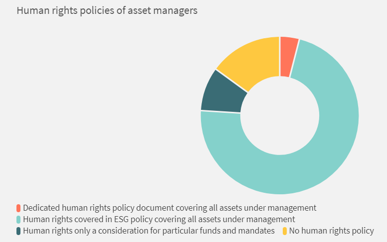 human rights policies of asset managers pie chart