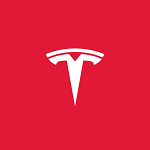 Tesla Inc (TSLA) Share Price Analysis
