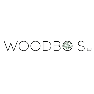 Woodbois Share Price Analysis