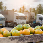 Food Supply Chain