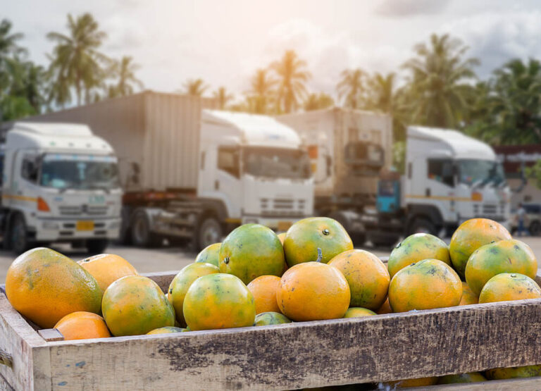 Food Supply Chain