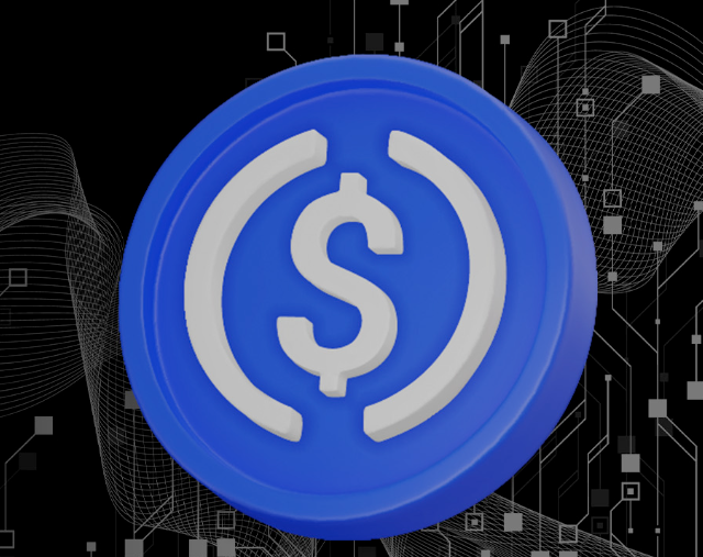 Interactive Brokers Stablecoin Funding