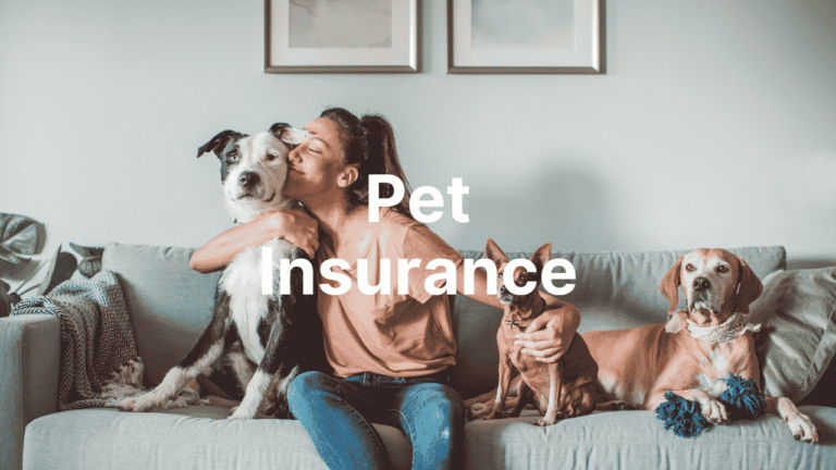 Best Pet Insurance - Good Money Guide